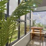 Dining Area (1)