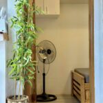 Electricfan
