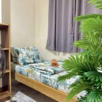 Single Size Bed_
