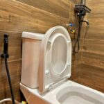 Toilet and Bidet