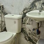 Toilet and Bidet_
