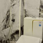 Toilet with Bidet