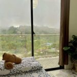 View from the Bedroom