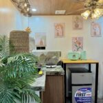 Kitchen Amenities (1)