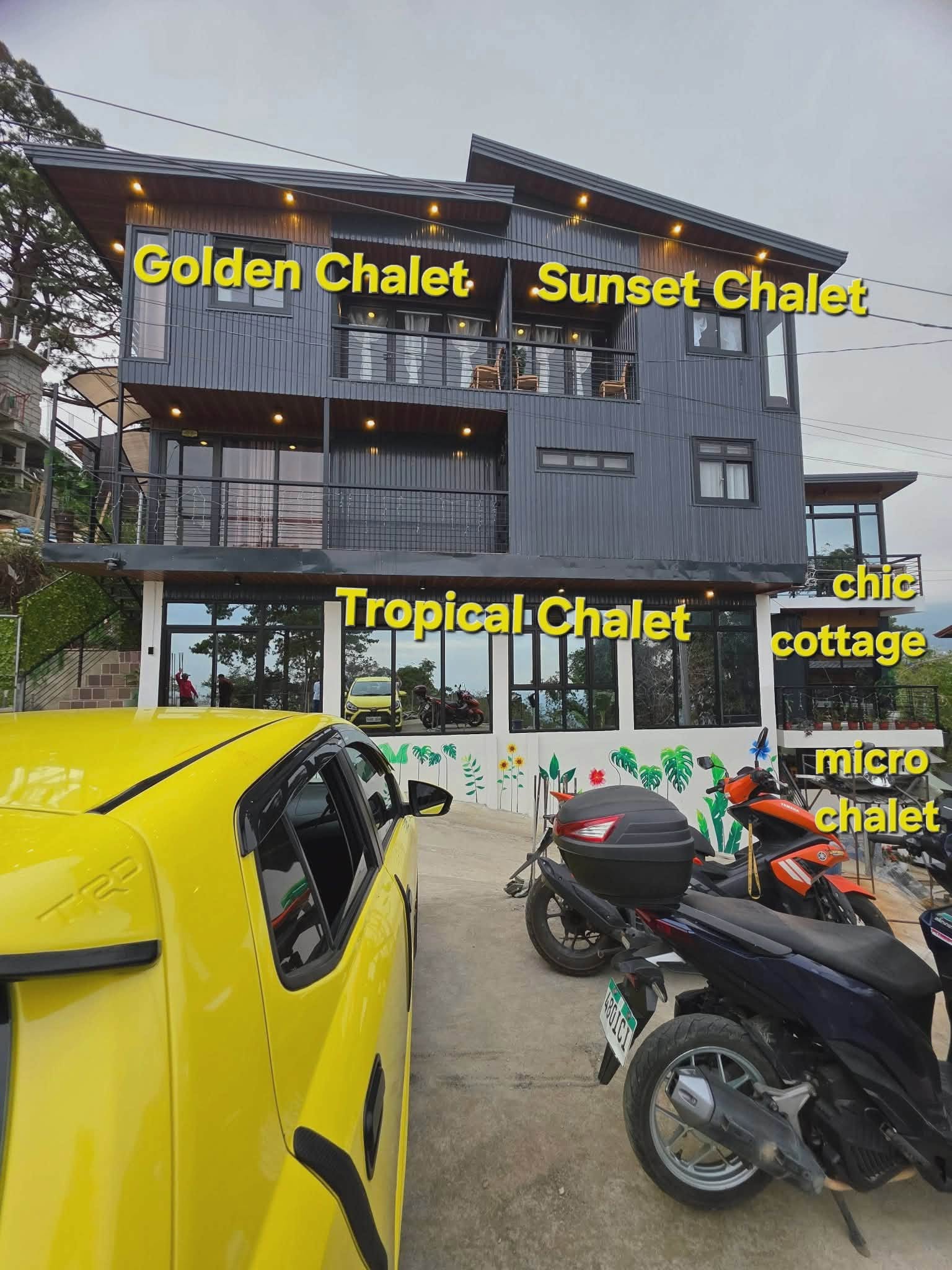Village- Golden, Sunset, Tropical, Chic and Micro Floor Guidelines